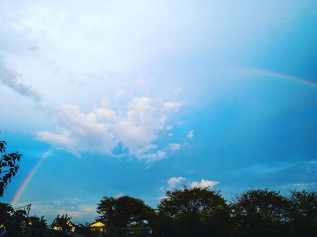 犬の散歩中にみた虹の橋。